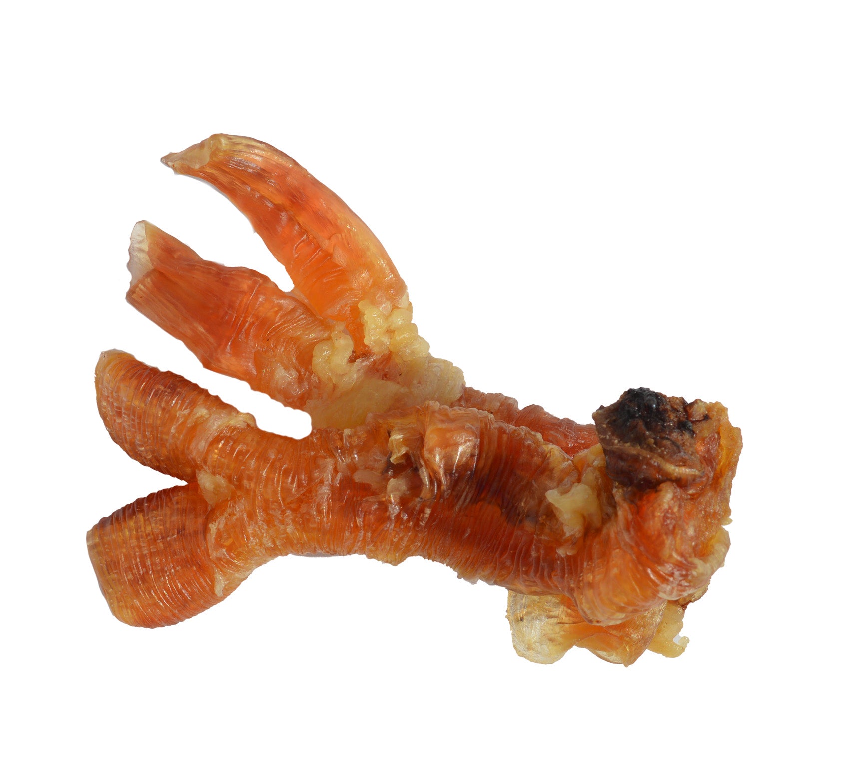 Beef Tendon (Chew)