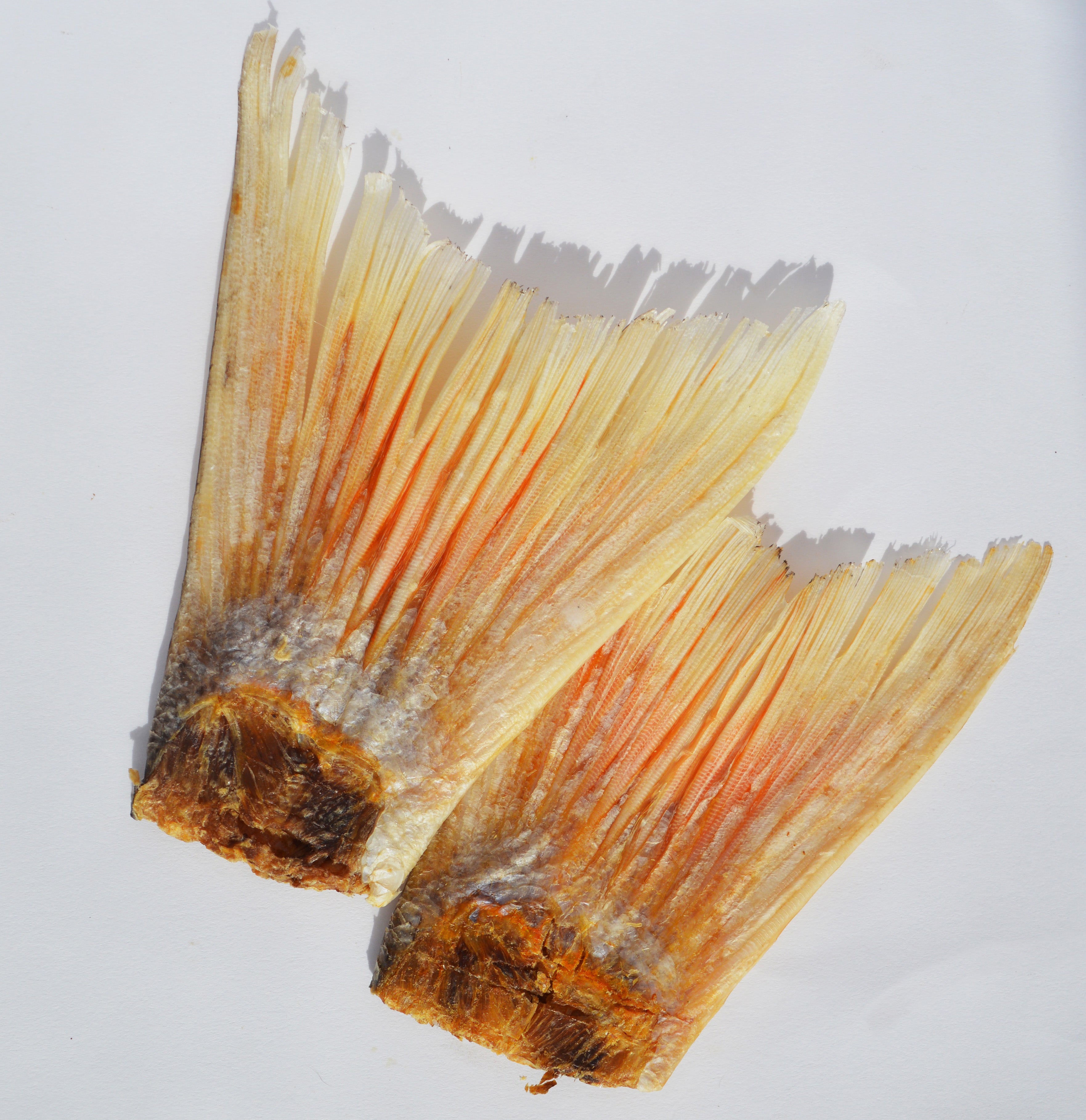 Dehydrated Fish Tail