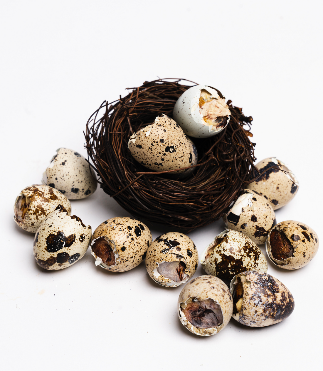 Freeze Dried Balut Quail Eggs