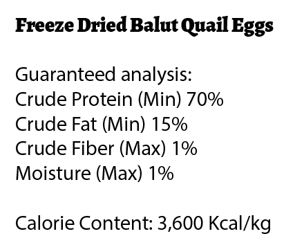 Freeze Dried Balut Quail Eggs