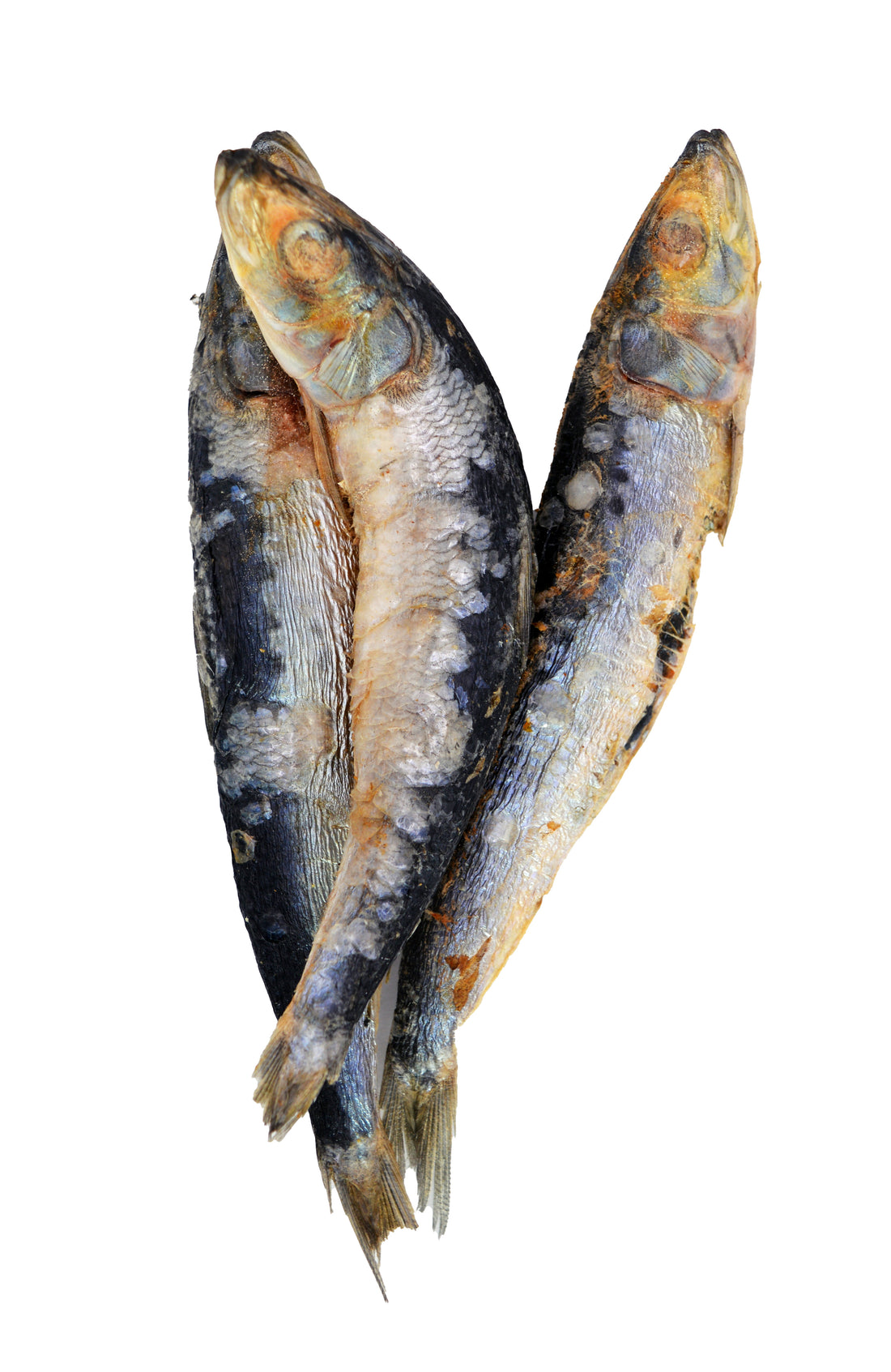Freeze Dried Sardines